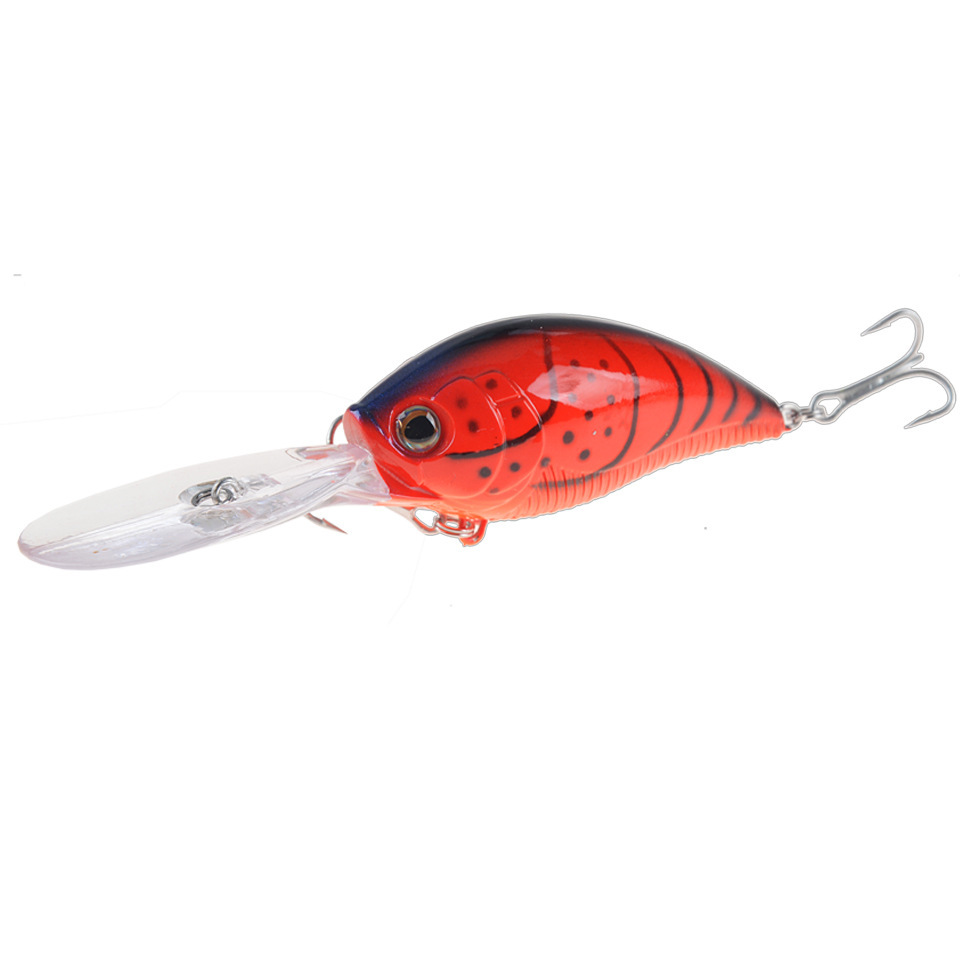 A LIST LURES Trump Topwater Fishing Lure : Sports & Outdoors 