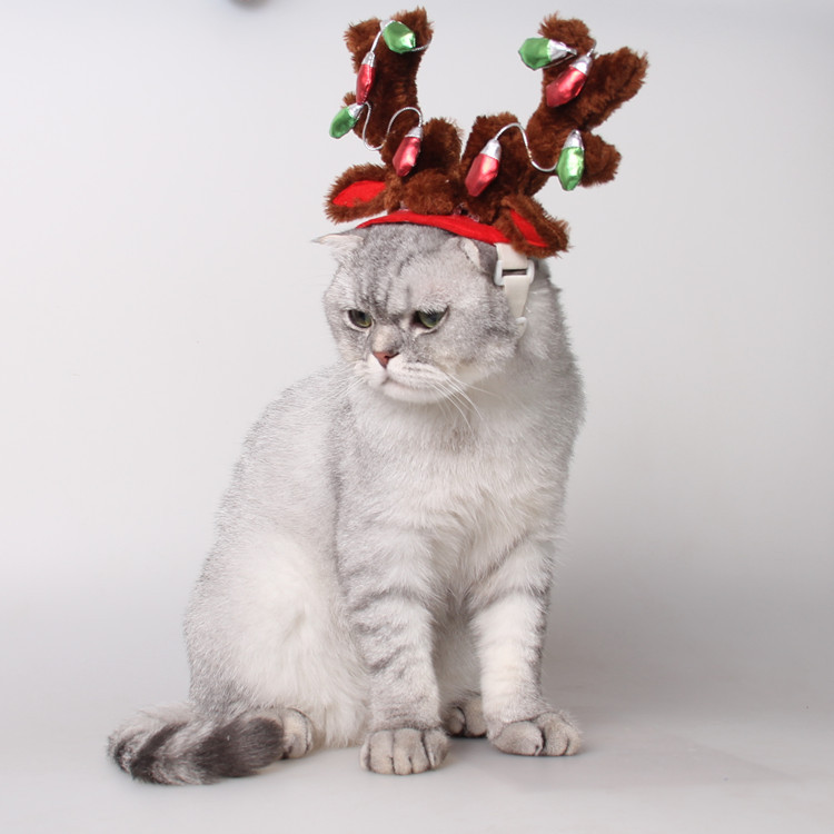 Pet Supplies Christmas Dog Hat Cat Ornaments CJdropshipping
