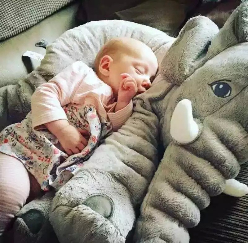 Sleeping elephant deals pillow