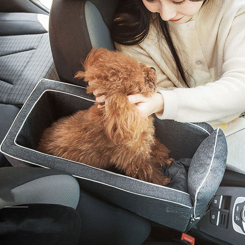 Dog car outlet safety uk