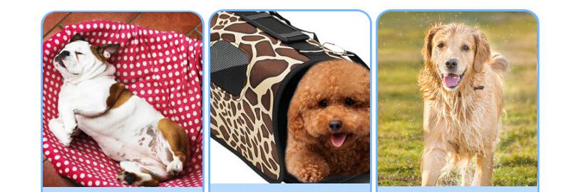 Dropship Airline Approved Folding Zippered Casual Pet Carrier to