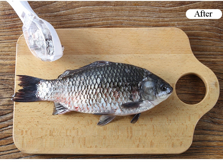 鱼5