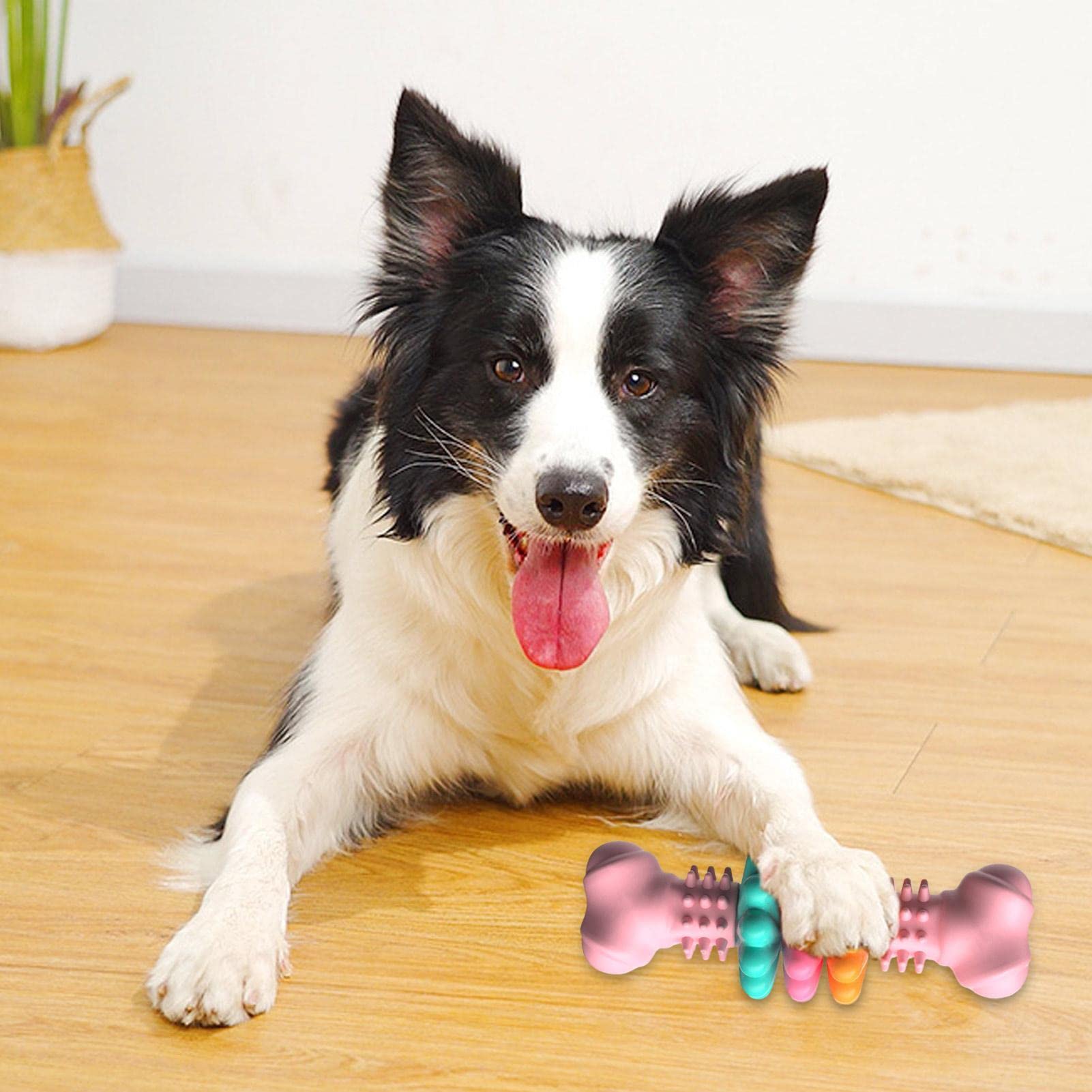 Frozen Pet Toy, Tpr Dog Toy, Pet Chew Toys, Bite-resistant Dog Toy