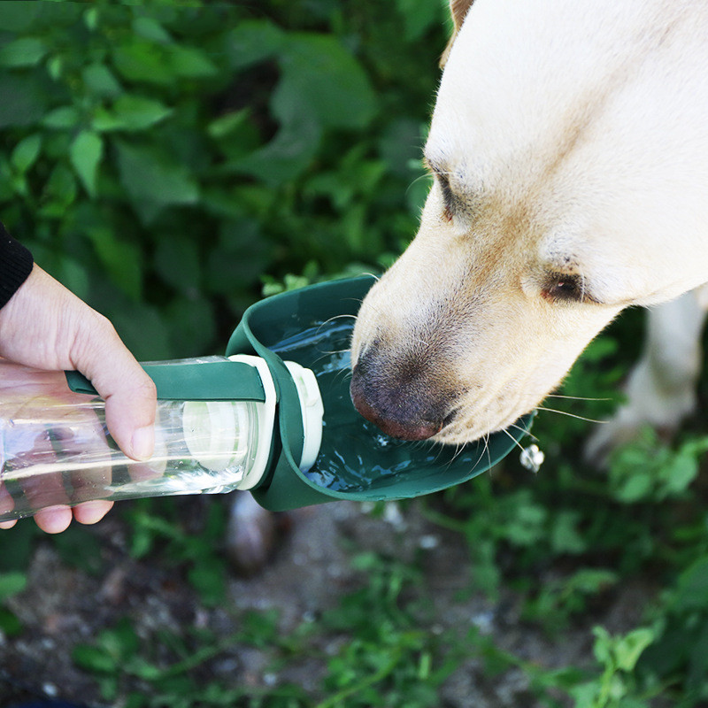 Foldable Pet Dog Drinking Water Bottles Travel Hand Held Puppy