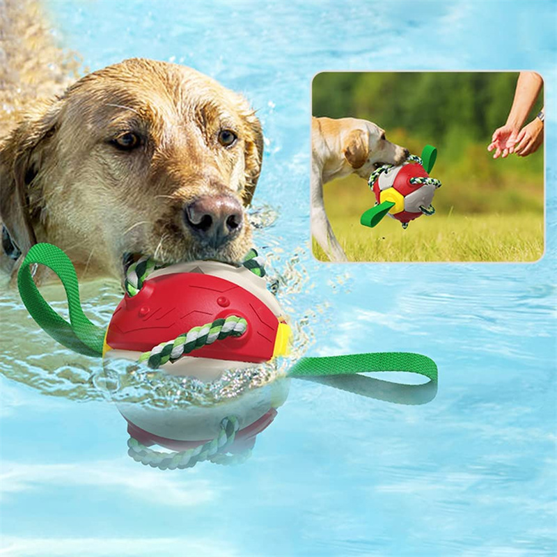 LOTMIAI Dog Soccer Ball Toy Pet Interactive Ball for Indoor Outdoor, Puppy  Birthday Gifts Durable, Funny Dog Water Toy