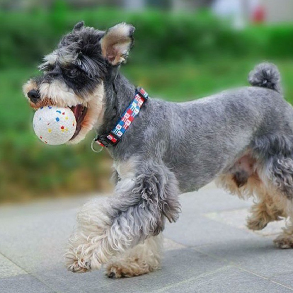 Dropship Tumbler Dog Leaky Dog Leaky Ball Bite-resistant Puzzle