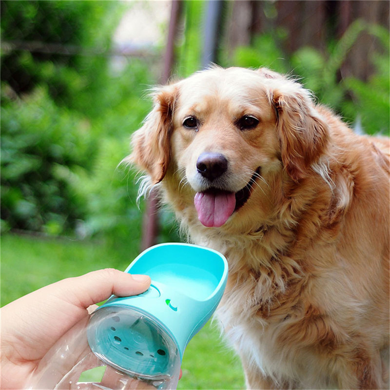 HQ Pet Water Cup with Treat Dispenser - Green, 24seven megastore