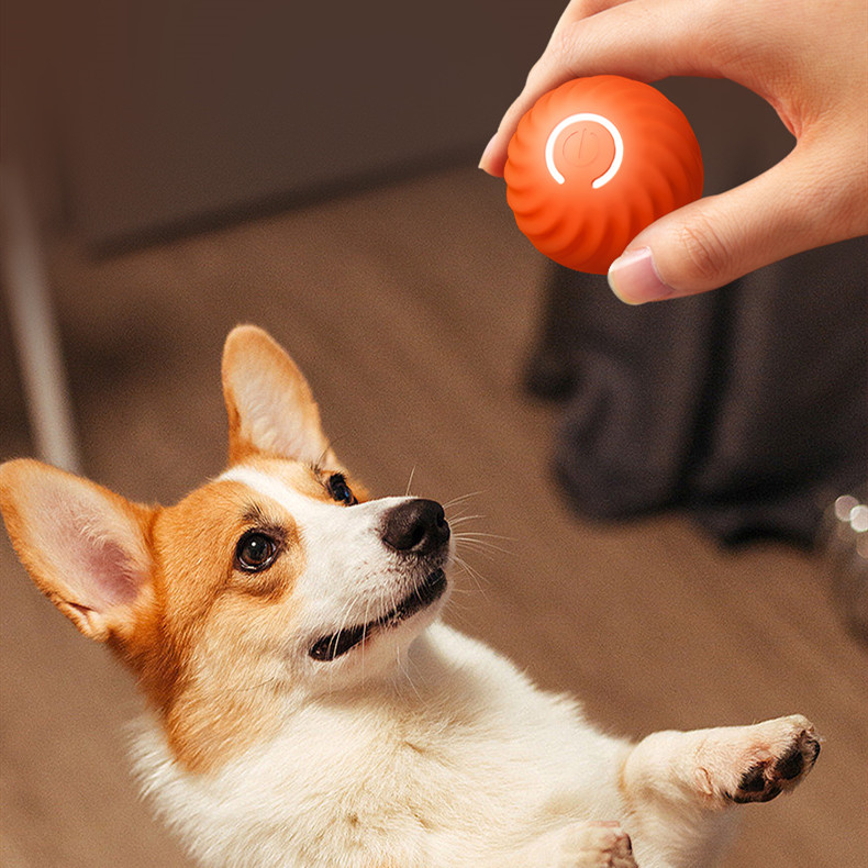 Dropship Pet Chewing Toys Dog Food Leaking Bite Resistant Ball Toy