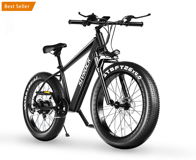 Welkin electric bike wkes002 dropshipping Rooder factory 