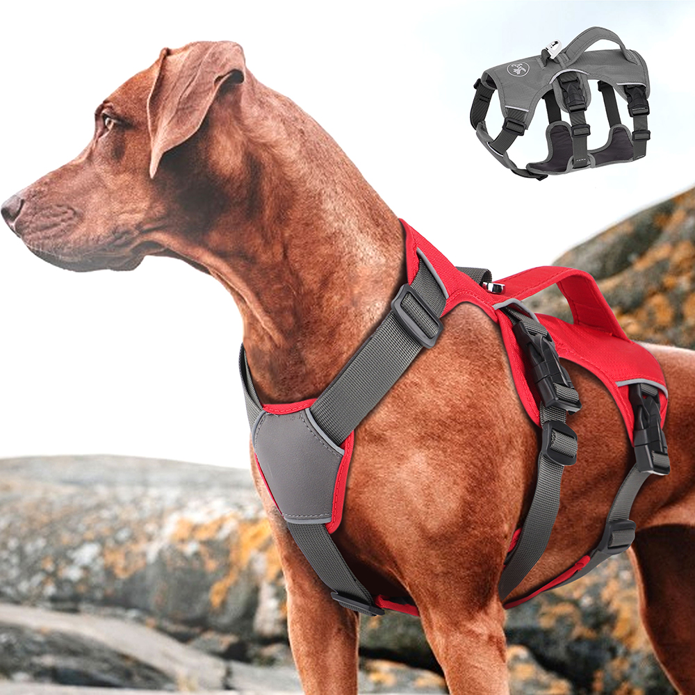 Pet Chest Strap Dog Leash CJdropshipping