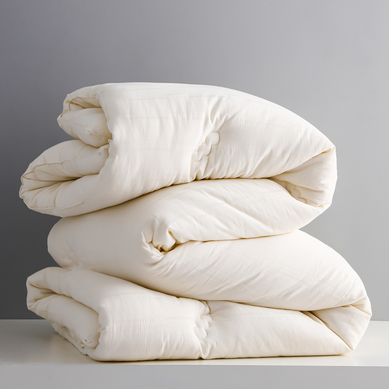 Single Double Spring And Autumn Quilt Antibacterial Quilt Core Cotton