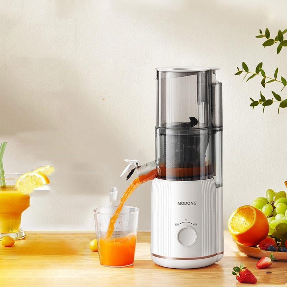 Multifunctional Slow Juicer Portable Household Juice Machine USB