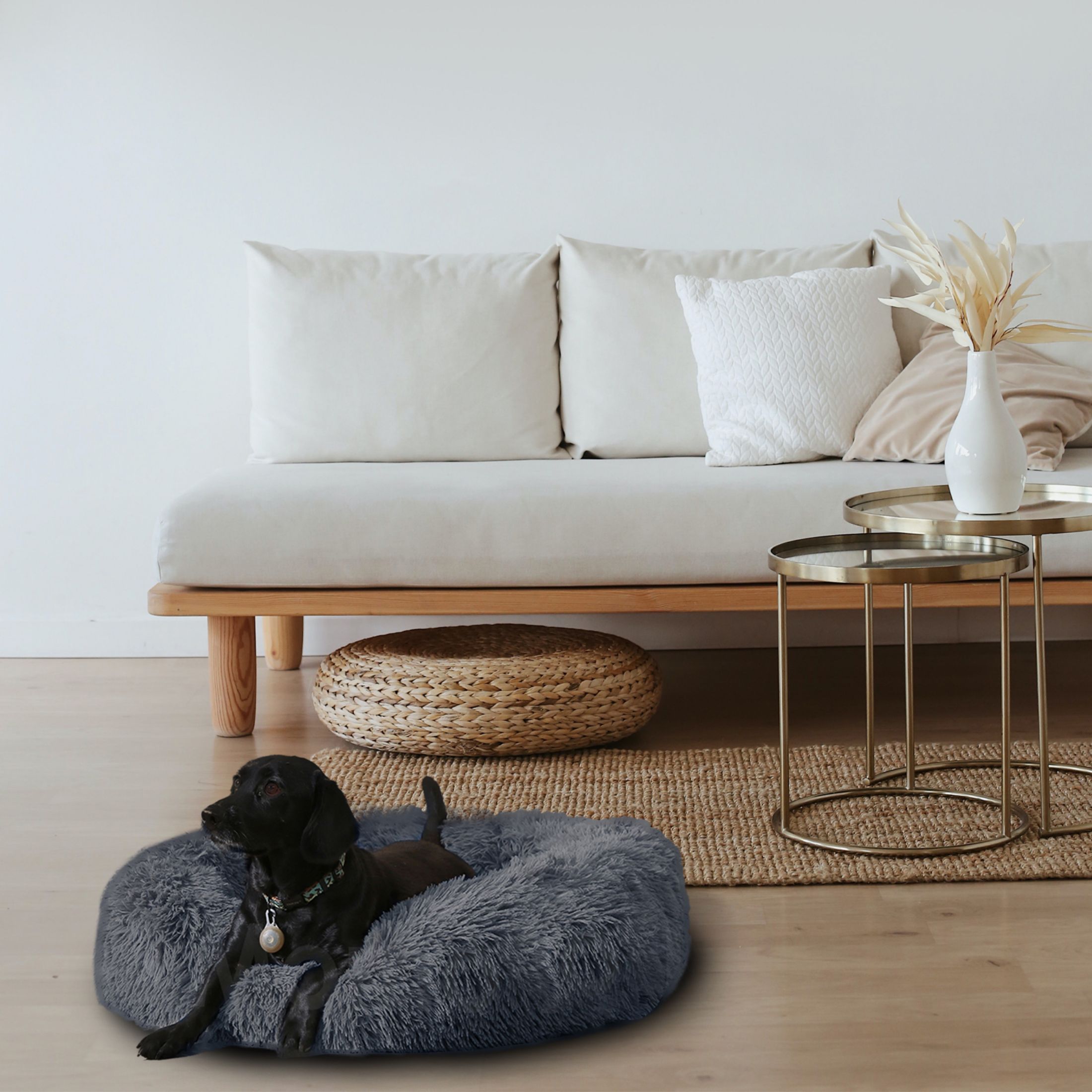  Discover the Best Pet Friendly Sofa Fabric for Your Home: Comfort and Durability Combined