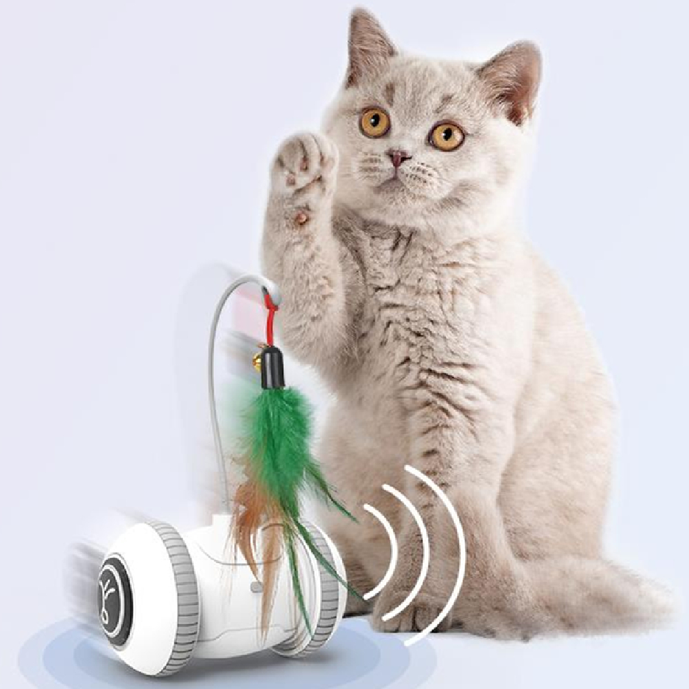 Fashion Interactive Cat Toy Health and Safety Cat Composite Toy