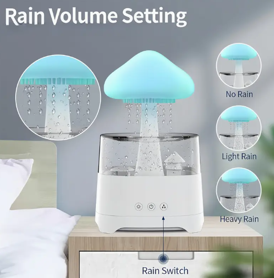 Rain Cloud Humidifier 