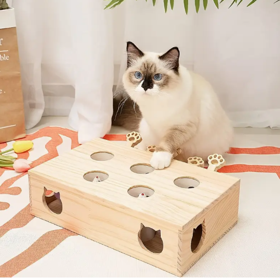 Niche Pet Accessories