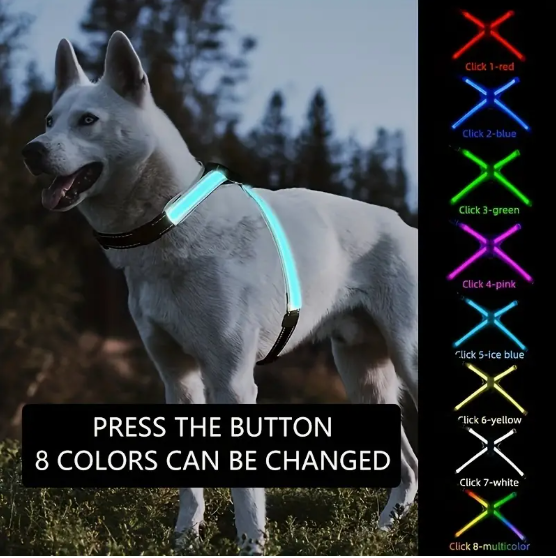 Pet Health & Safety Products