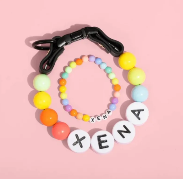 Custom Matching Pet Collar