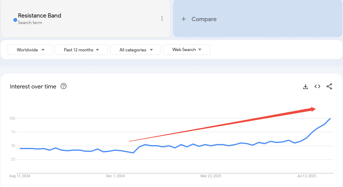 google trends dropshipping products - Resistance Bands