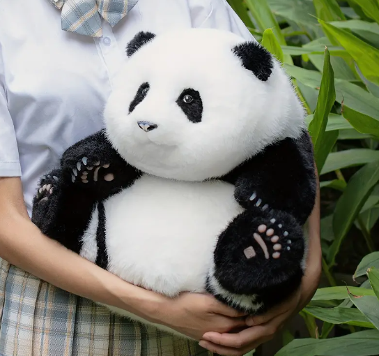 Plush & Comfort Toys