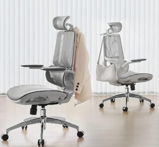 Ergonomic Office Chairs