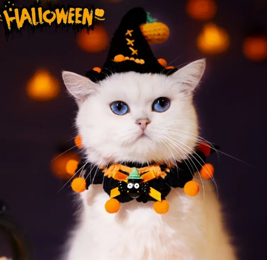 Pet Halloween Costumes