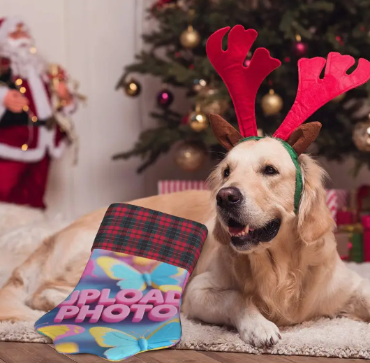 Pet Christmas Outfits & Stockings