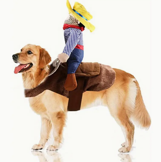 Pet Halloween Costumes