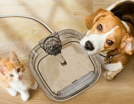 Pet Water Fountains