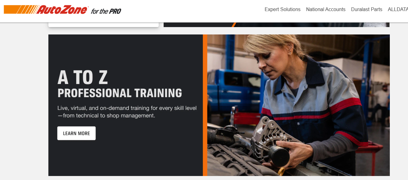 AutoZonePro