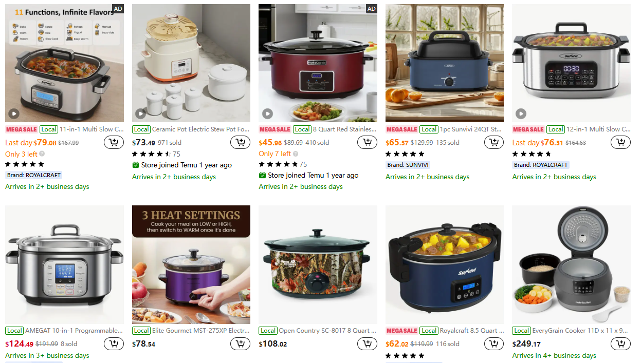 Electric Slow Cooker
