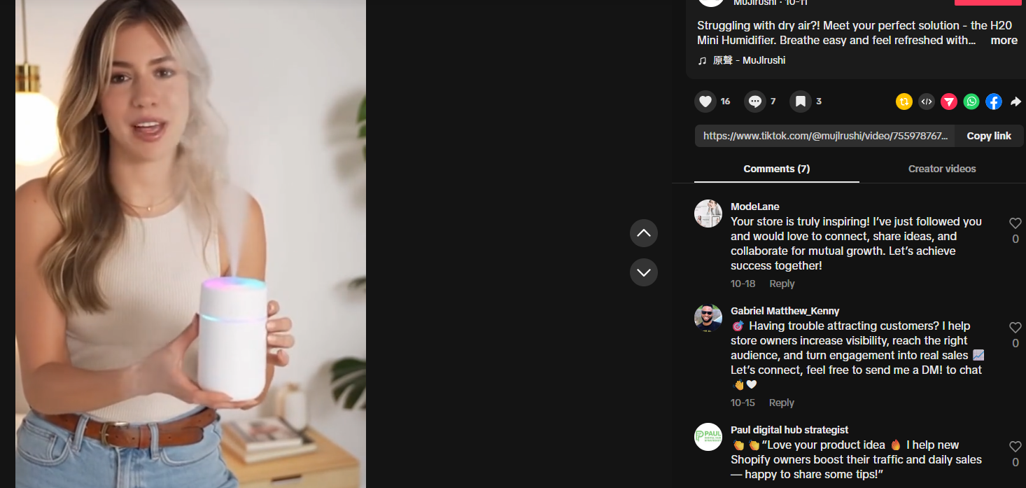 Mini portable humidifier