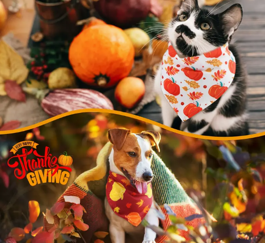 Pet Thanksgiving Accessories