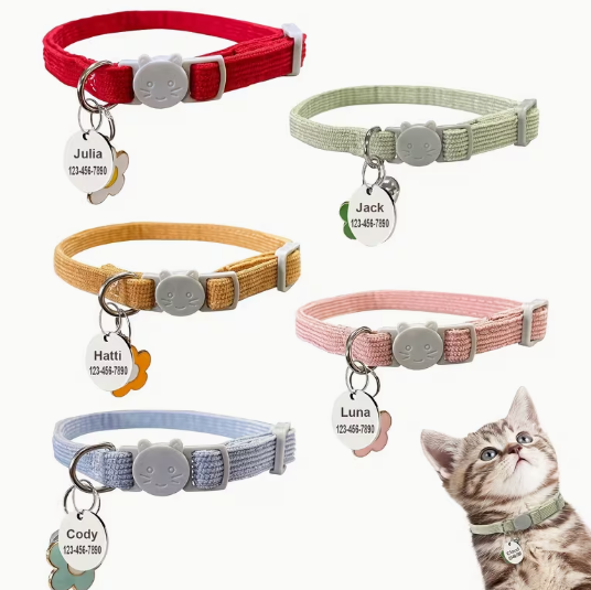 Personalized Pet Accessories