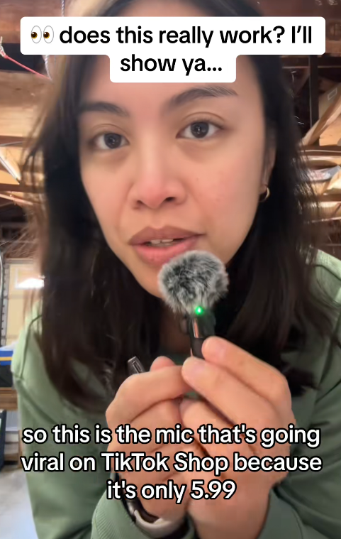 Wireless Mini Microphone