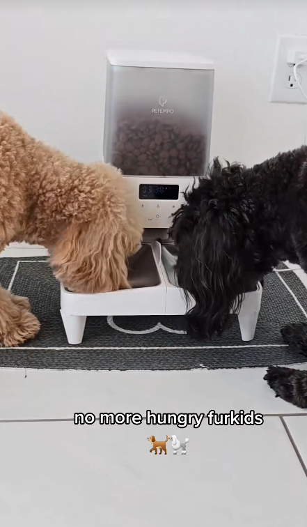 Automatic Pet Feeder