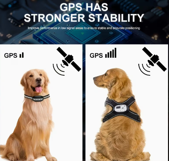 Pet GPS tracking collar