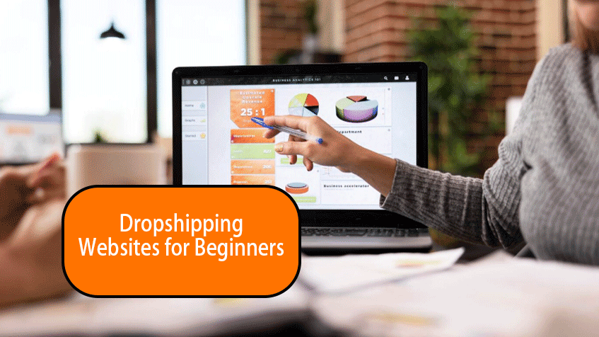 Best Dropshipping Websites for Beginners in 2026 (Complete Guide)
