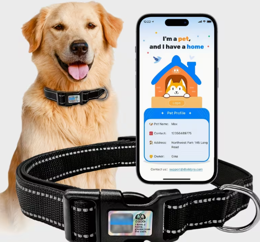 Pet GPS and health-tracking collars