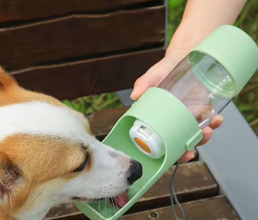 Dog water bottle for walks and travel