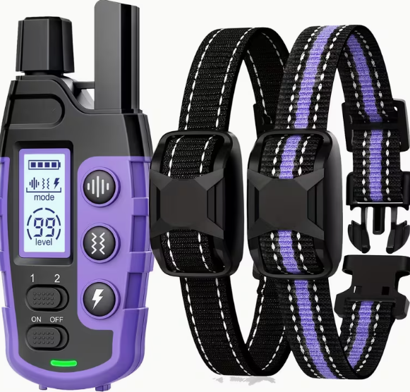 Pet Accessories