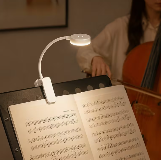 Rechargeable LED Book Lights