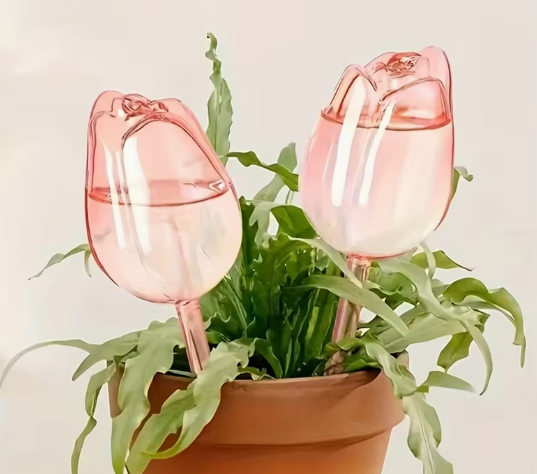 Self-Watering Plant Spikes